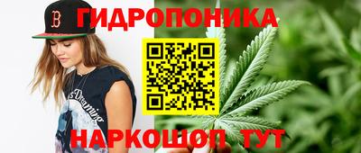 гидра Краснознаменск