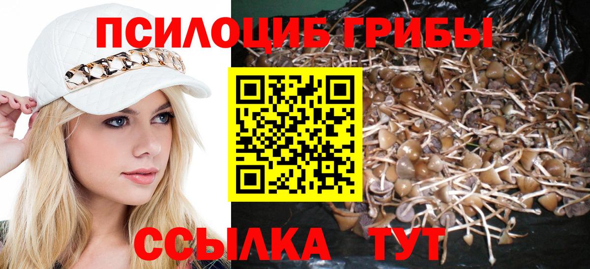 Ейск  Галлюциногенные грибы ЛСД  Вход с VPN 